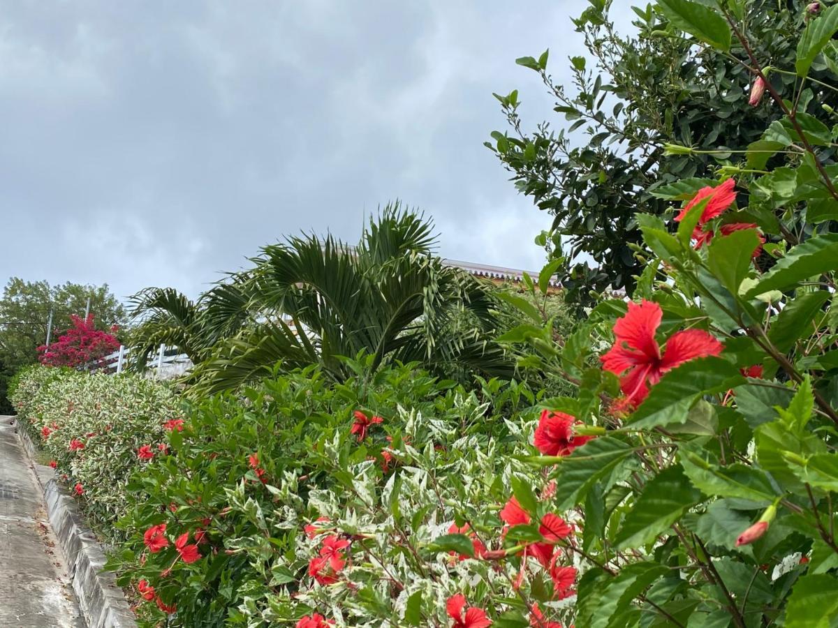 Locations Morne Aux Vents Apartment Fond Boucher Exterior foto